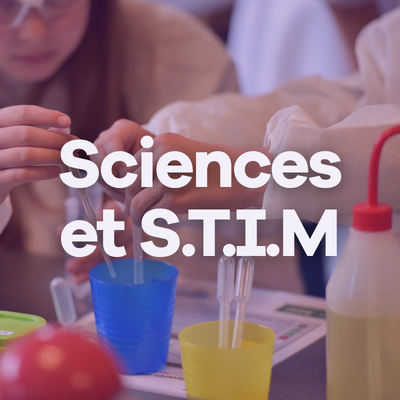 Image Sciences et S.T.I.M.